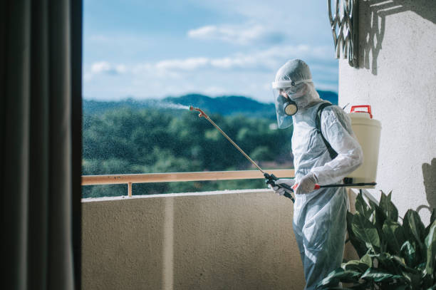 Termite Treatment Kissimmee