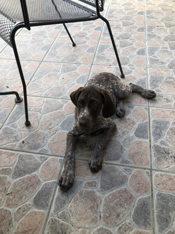 45CA608F-3EEA-49B8-B1CE-CF432BABED8F