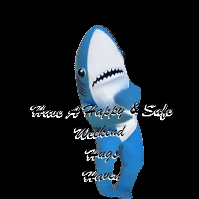 shark-haven