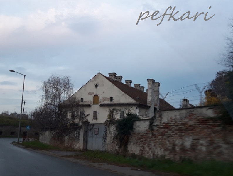 Slika