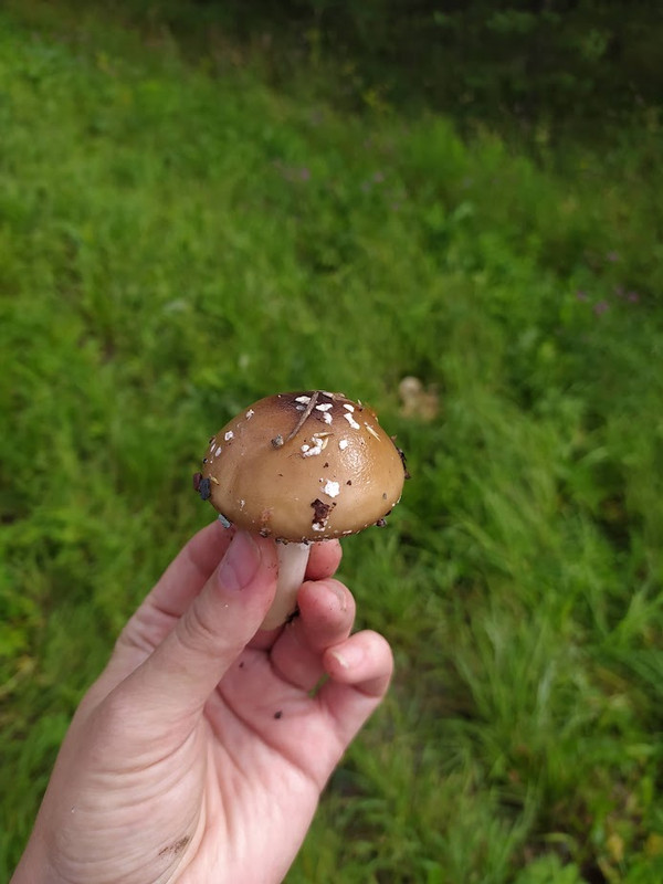 IMG_20230820_110431 (1)