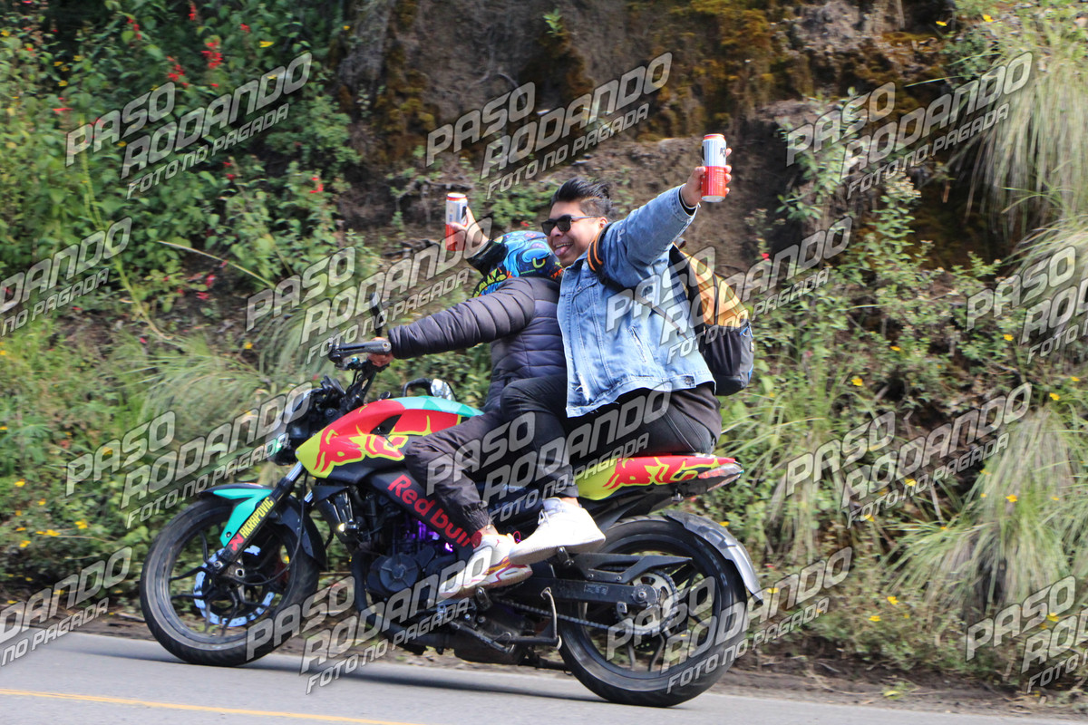 IMG 1935 wm 92596 20000000019 watermarked — Postimages