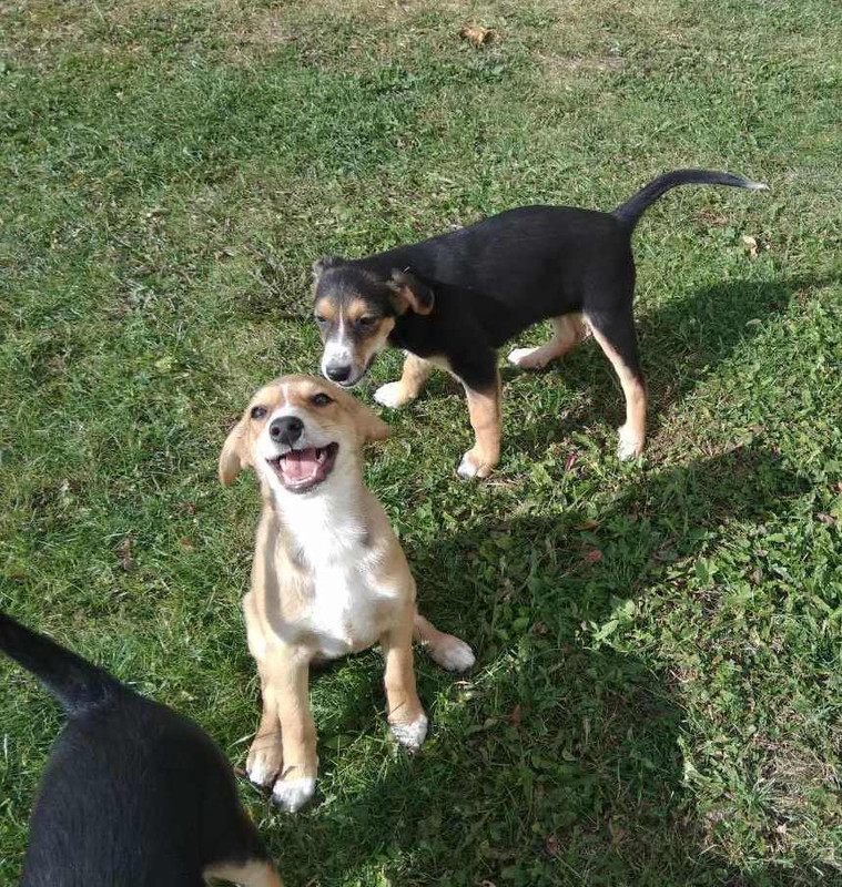 изображение_viber_2019-09-15_15-39-37