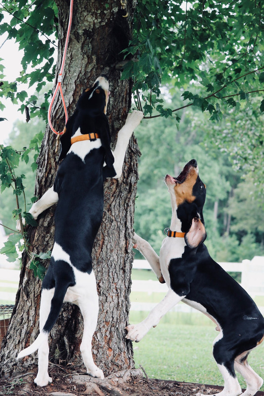 10CE85B6-27B8-412C-B19D-DB005185376D