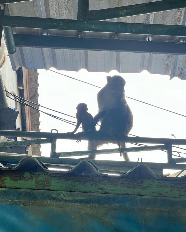 prayalundberg-1717042814-3379122498729020893-3244161