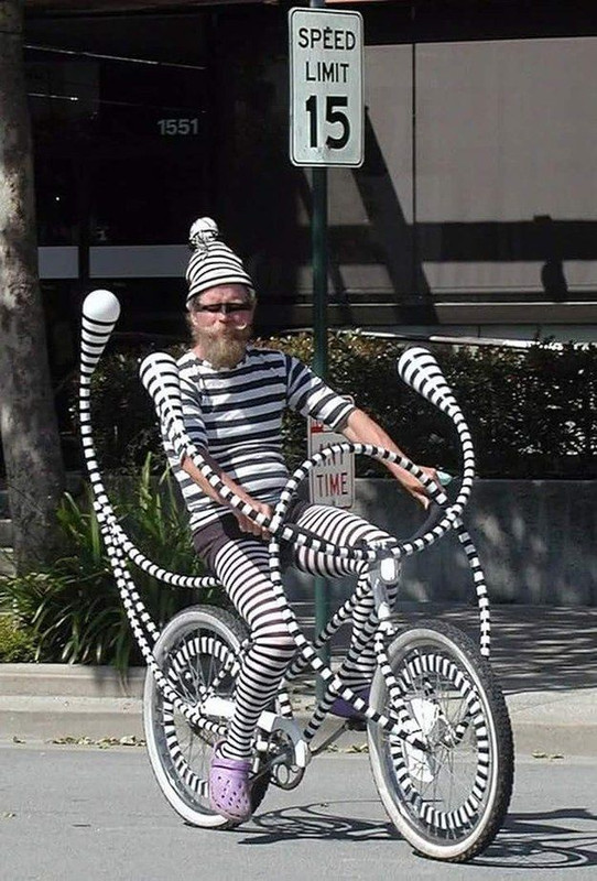https://i.postimg.cc/3JPjqdZW/krok.jpg