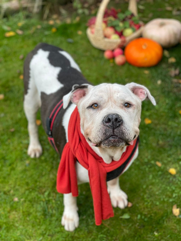 41346C0B-835A-44E4-960B-391F076EF0E2