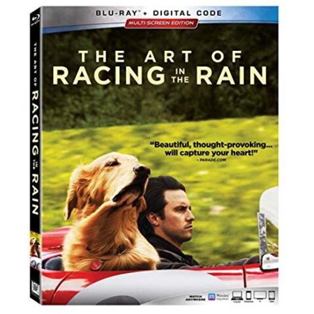 The Art of Racing in the Rain (2019) [1080p x265 HEVC 10bit BluRay AAC 7.1] [Prof]