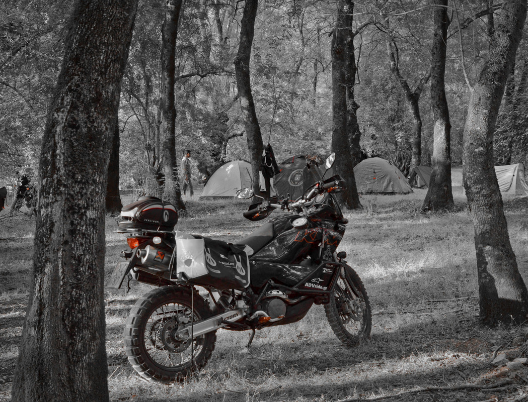 f10334912 BW 2