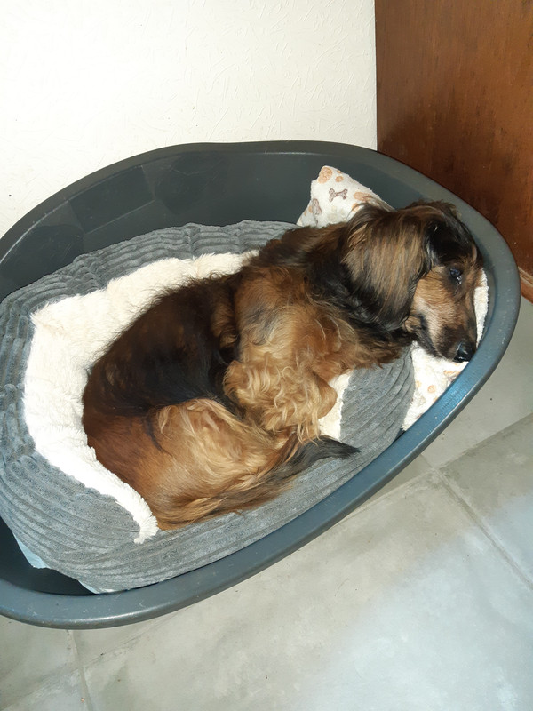 [Image: 20230615-091725.jpg]