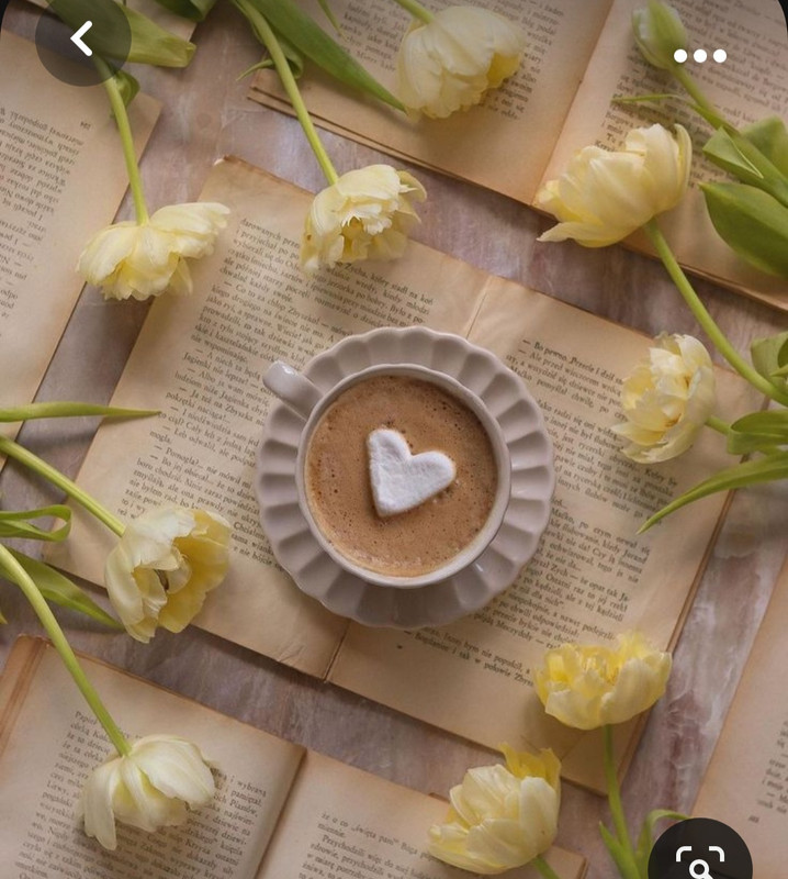 Screenshot_20230928_234237_Pinterest