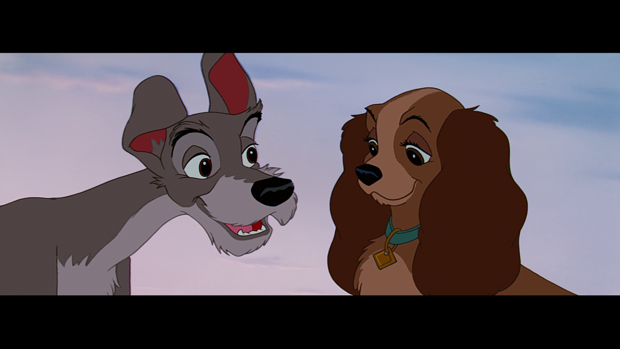 vlcsnap-2023-12-08-18h10m00s663