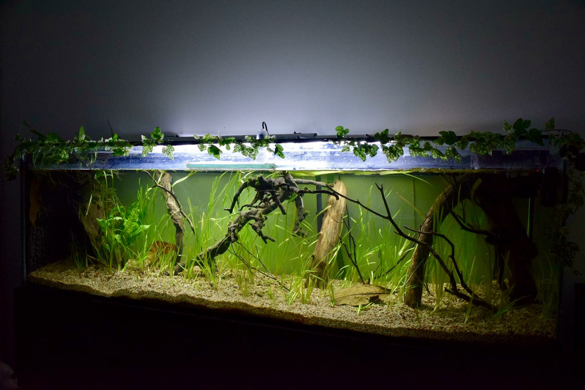 EA02D8C7-7BFD-4772-8A45-33BBA2AA6E33