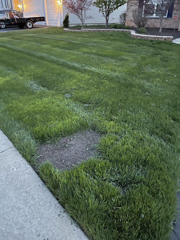 8AB6DF56-82C7-4A9A-9AAC-0CFE1591FF42