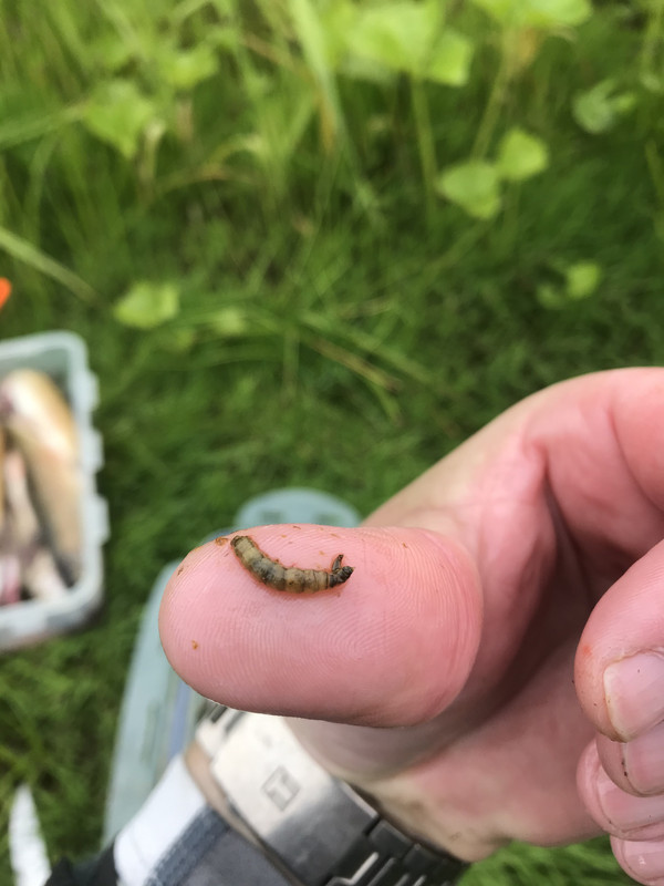 29D042A7-F8B4-4B10-A24A-0643A3A7EC16