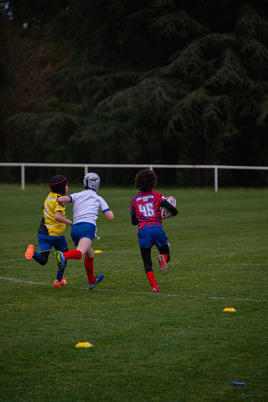 tournoi-de-latlantique-2026-adonis-griffon-222-55180371147-l