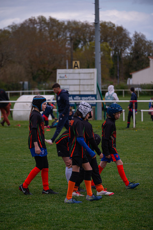 tournoi-de-latlantique-2026-adonis-griffon-223-55181518269-l