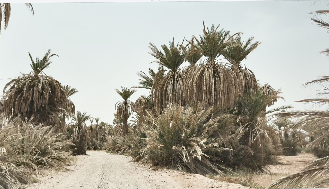 El palmeral de los Katawa : Tagounite - El Valle del Drâa, la gran arteria del sur de Marruecos (8)