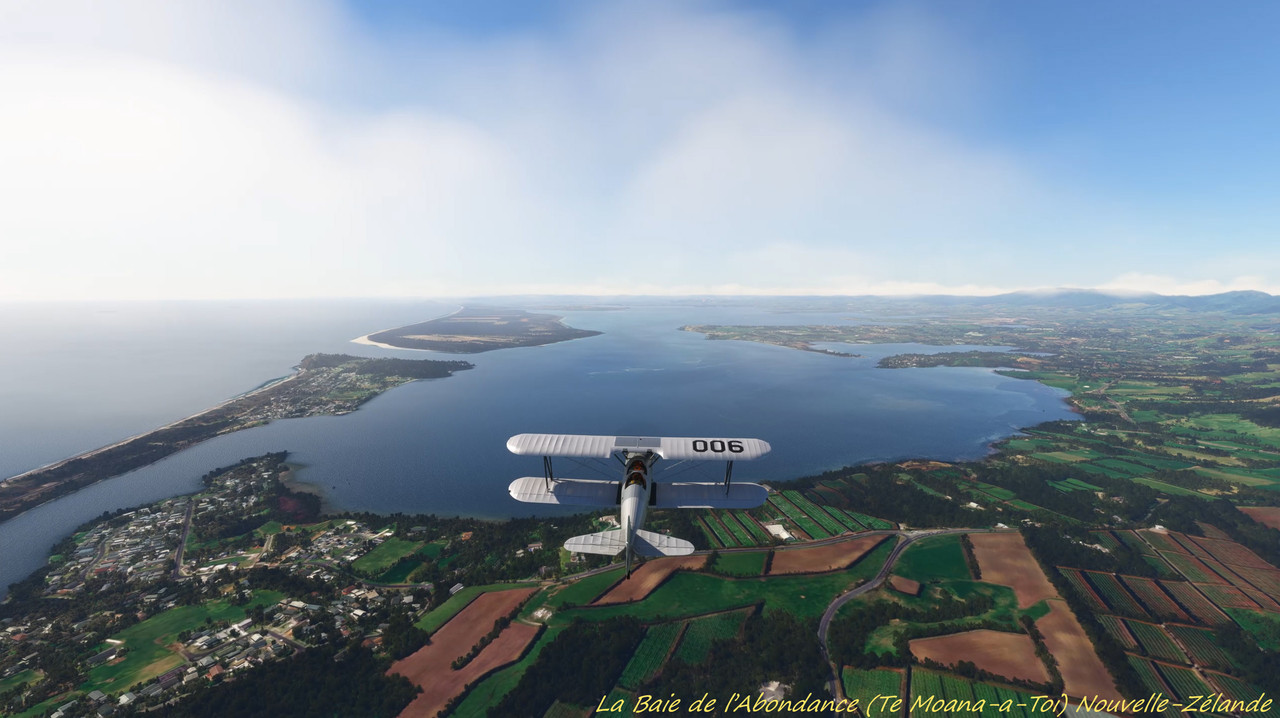 NZ01.jpg