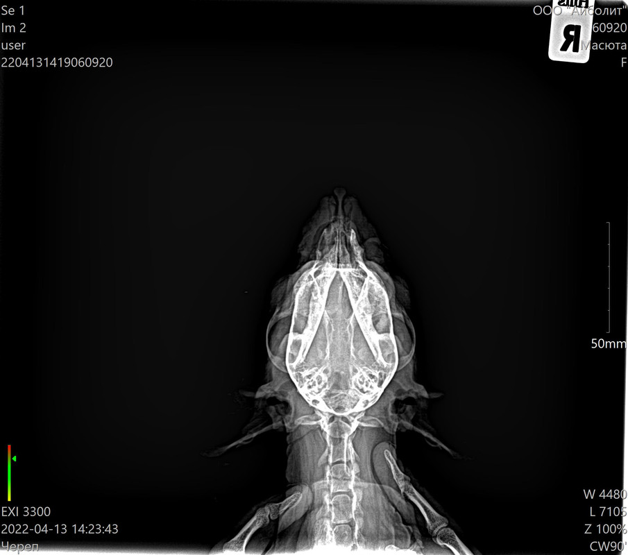 80AD9288-C0E2-4FEC-928B-CFBB50B0D3E5