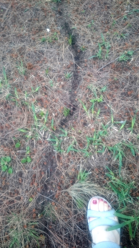 Аргентина (23)