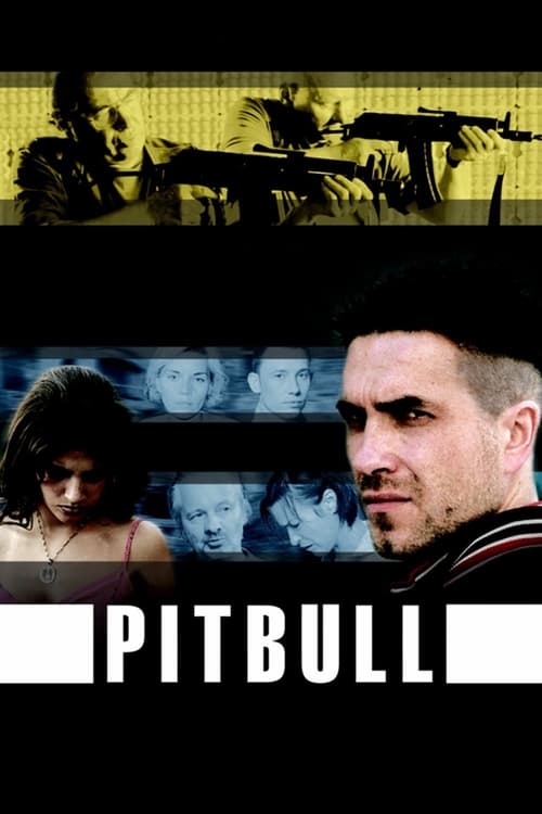 PitBull (2005-2008) (Sezon 1-3) PL.1080p.WEB-DL.x264-Delikat / Serial Polski