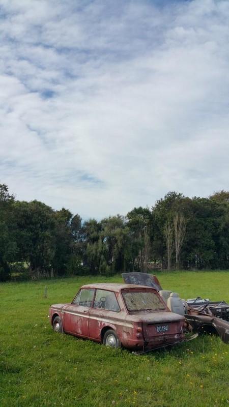 20180406_114551 (720x1280) (576x1024)