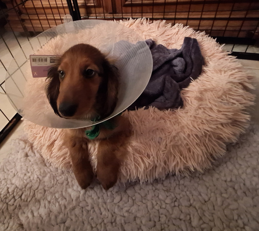 [Image: 20240913-213643.jpg]