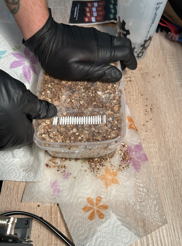 Ekran Resmi 2024-01-13 01.44.33