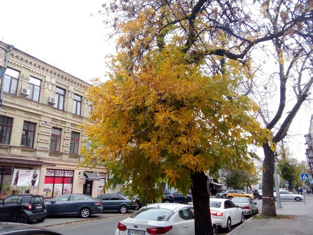 photo_2024-10-19 7.23.47 пп