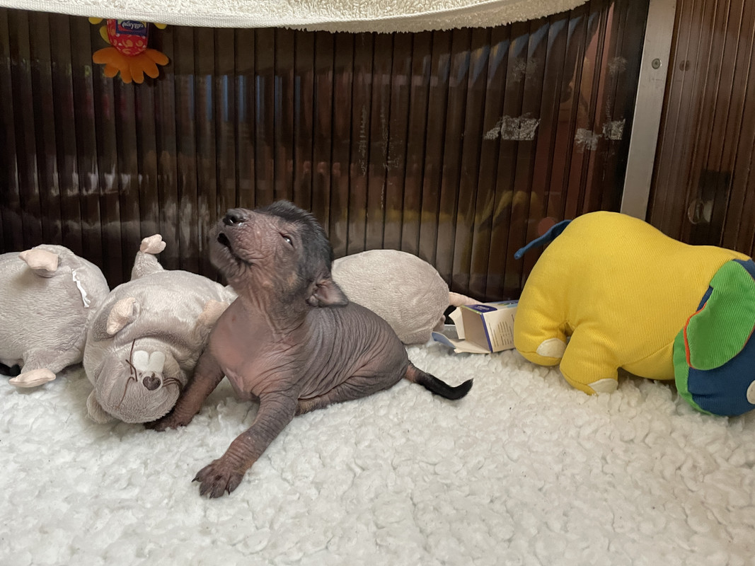 D7544D3F-9A60-40EB-9BCE-9311624987AF