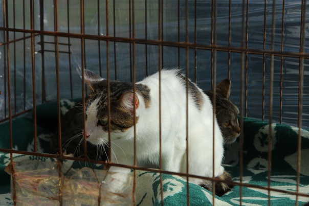 D3CE96FA-602C-43F6-9D52-8EF428F5B8BB