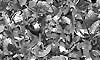 metal_44