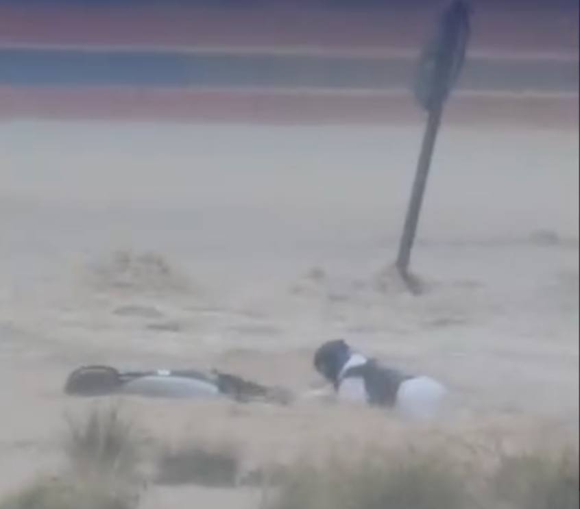 597239994-866999112449304-359974834756287954-n