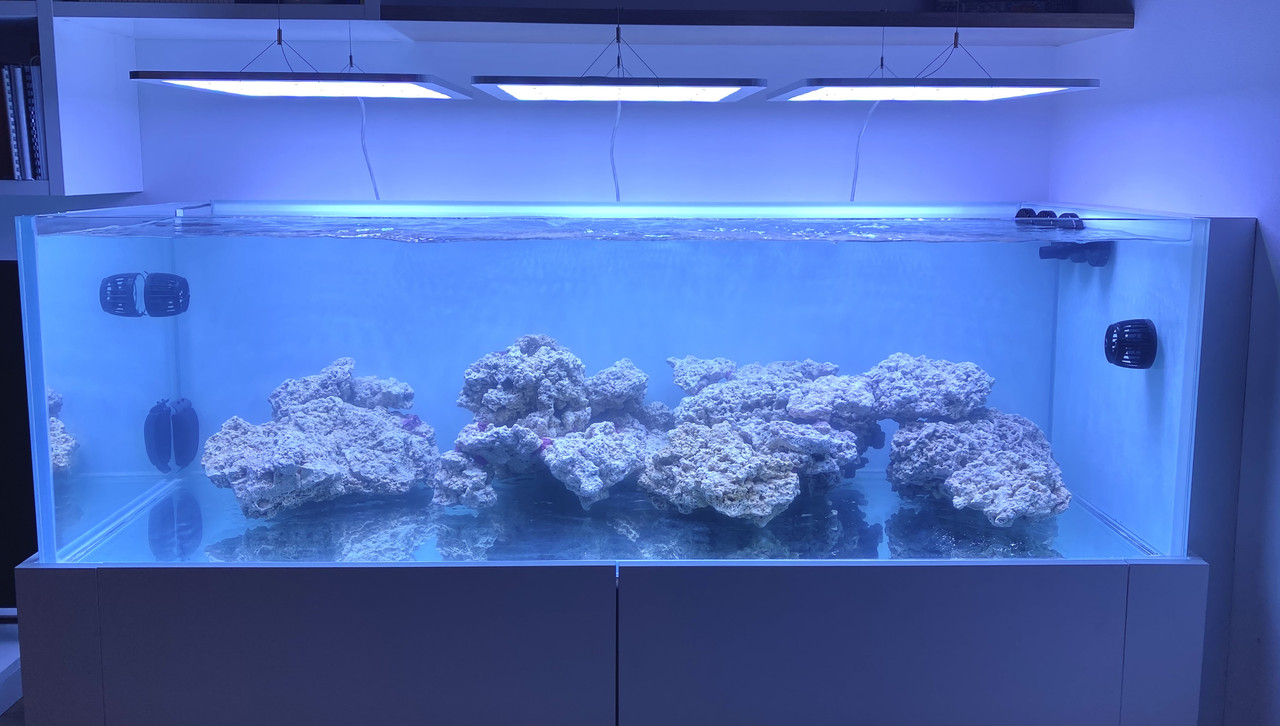 61A79CAE-E2C9-46DA-BCAF-A2506026BE2A