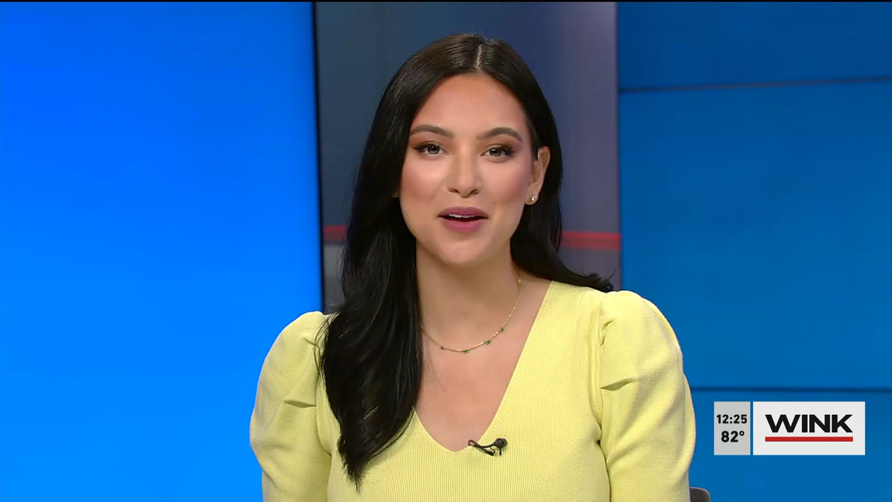 01.02 - 17.00.00 - The WINK Noon News  ᴺᵉʷ. Midday news update..ts_snapshot_31.49.726