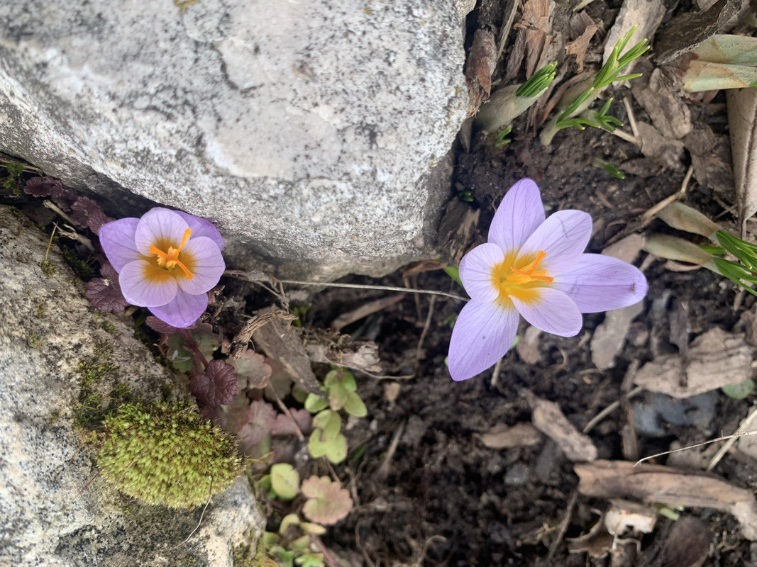 IMG_20250329_191317_268