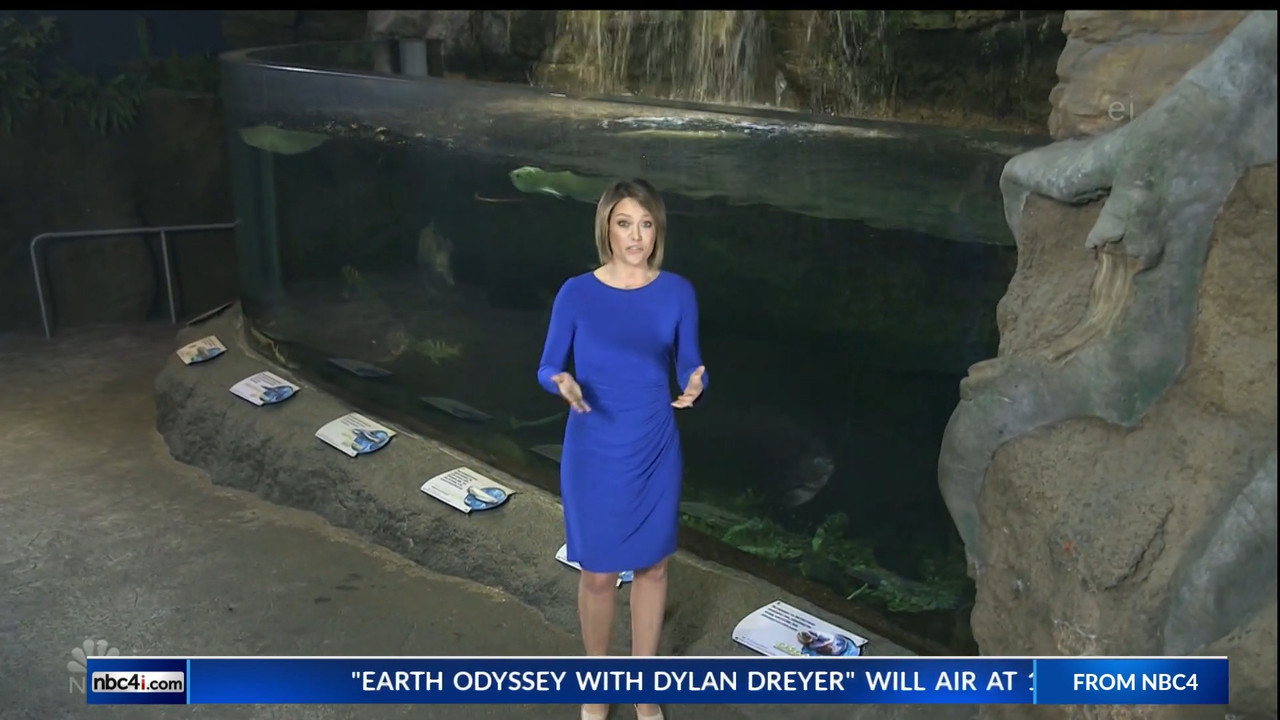 11.07 - 15.00.00 - Earth Odyssey With Dylan Dreyer. The world's smart....ts_snapshot_00.25.03.130
