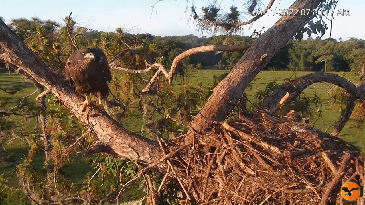 Webp.net-gifmaker (3)