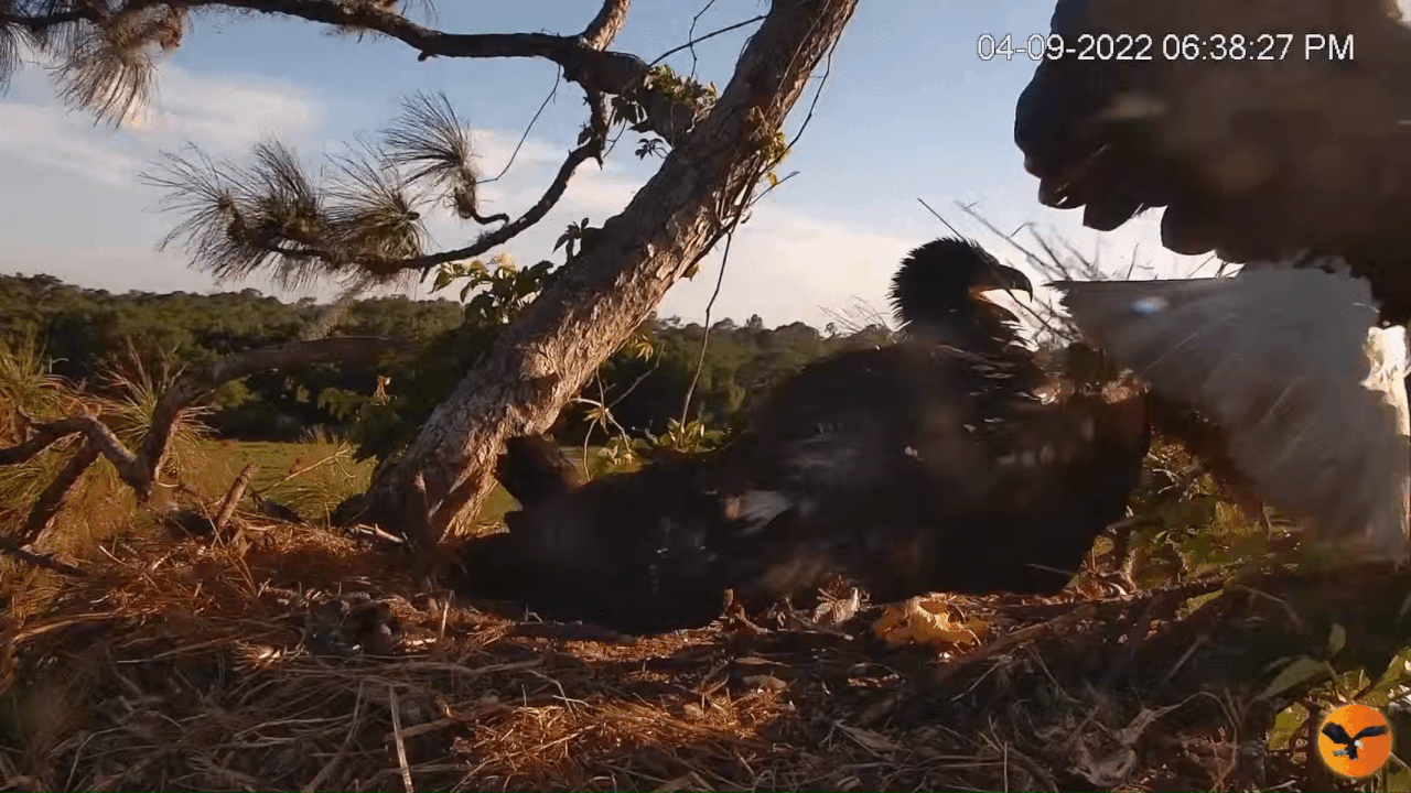 Webp.net-gifmaker (5)