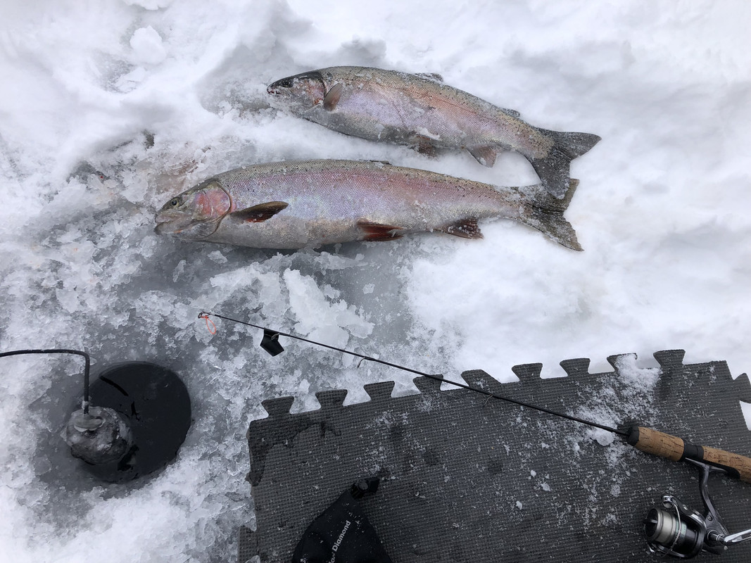 E15E18B2-0F88-47BF-BE5B-2A92E263E312