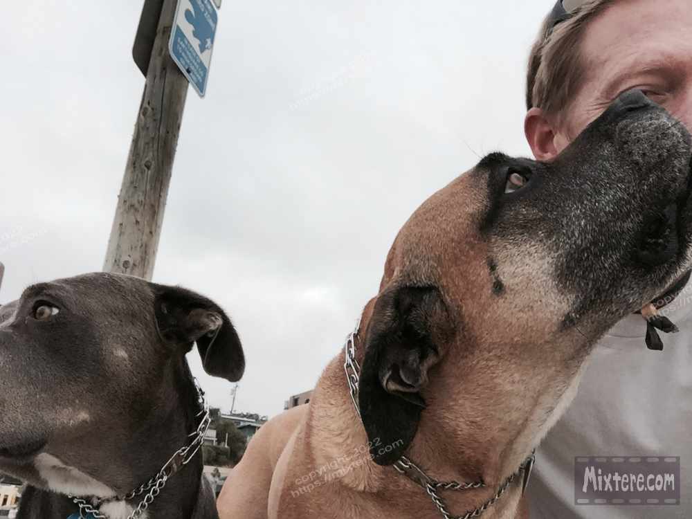 BBG&B2ItAllStartedWhenPics - 1