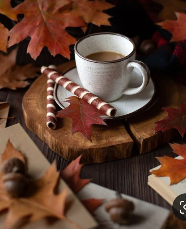 Screenshot_20231110_230504_Pinterest