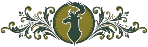 Vector-Decorativo-Enclave-Esmeralda-3.png