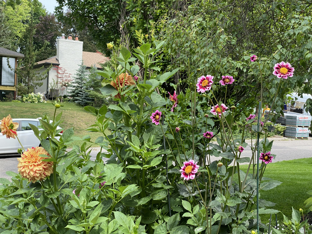 298BC182-2D4C-40E2-887C-A49D1E615A39