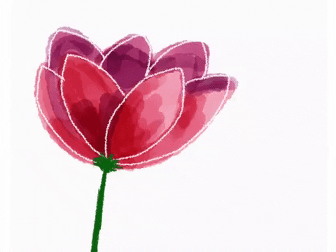 [Image: giphy-19.gif]