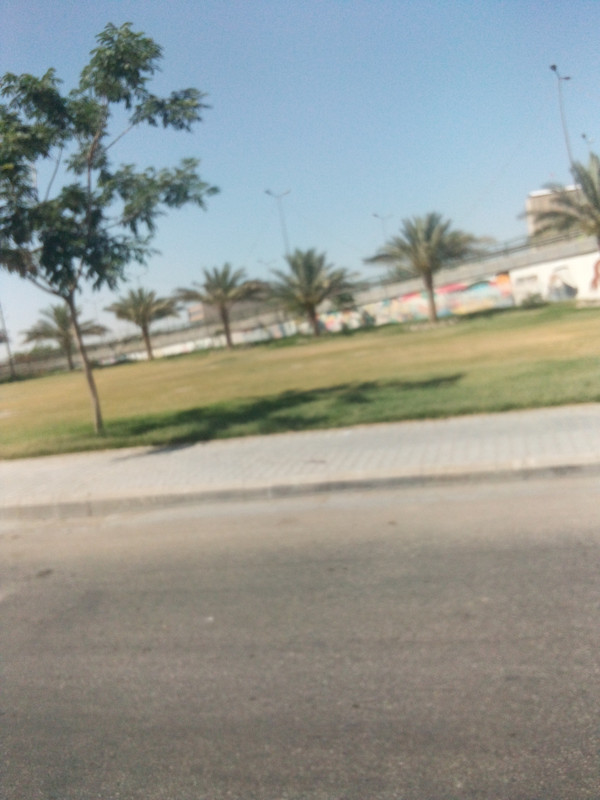 IMG_٢٠٢١٠٦٠٧_١٥٠٢٢٤_٠٥٨