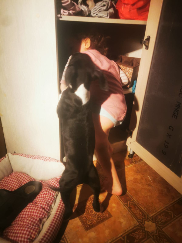 5A074B6E-5D3C-4C14-8CD9-D4BBF3F3CBE7