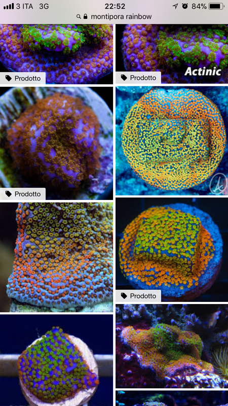 AFCD970D-F0D7-4A20-9F5A-A8E761EA1DCB