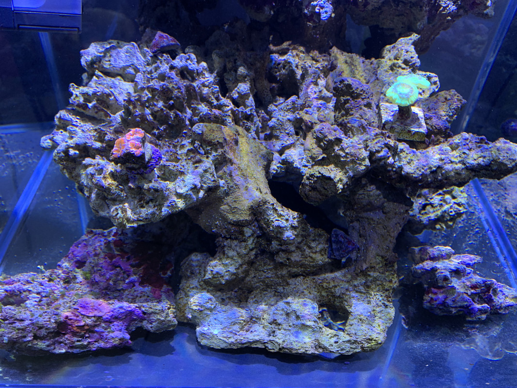 FCA654D8-B602-41E7-8A49-BD0FD150FB9A